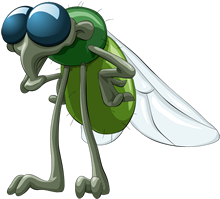 Insect screening keeps pests outside.